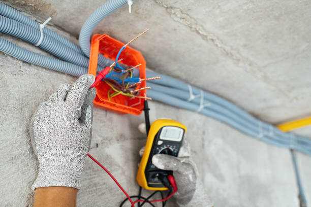 Best Electric Panel Repair  in Washgton, IN